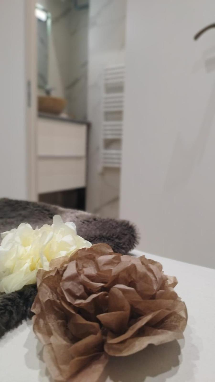 Appartement Lumineux En Rdc 布尔昆 外观 照片